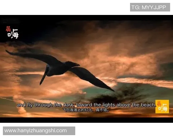 琼斯的传奇人生与不凡成就探索之旅